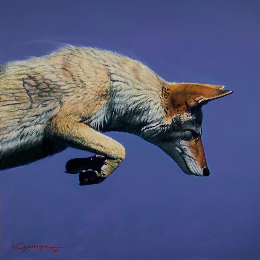 Desert Wildlife Paintings by Chuck Caplinger