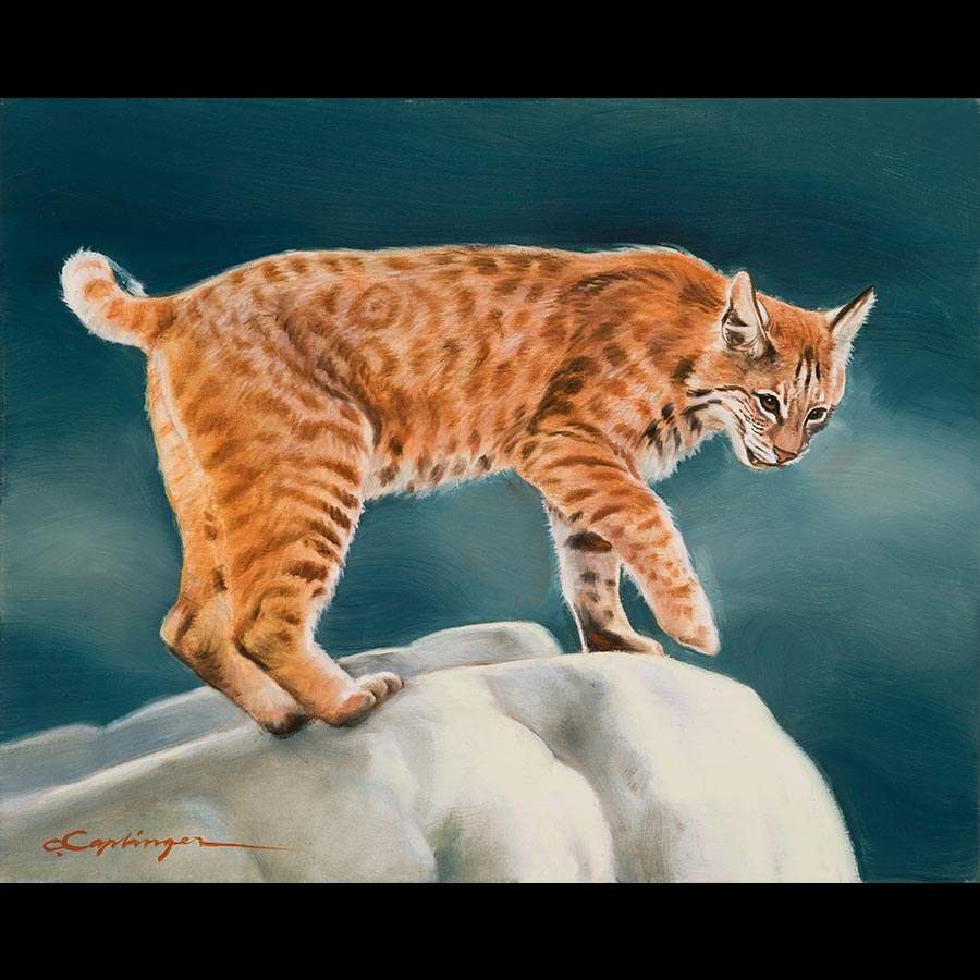 Desert Wildlife Paintings by Chuck Caplinger