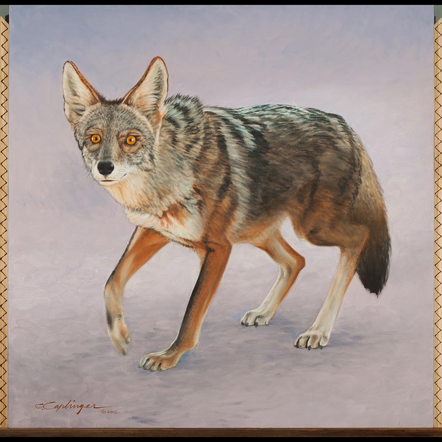 Desert Wildlife Paintings by Chuck Caplinger