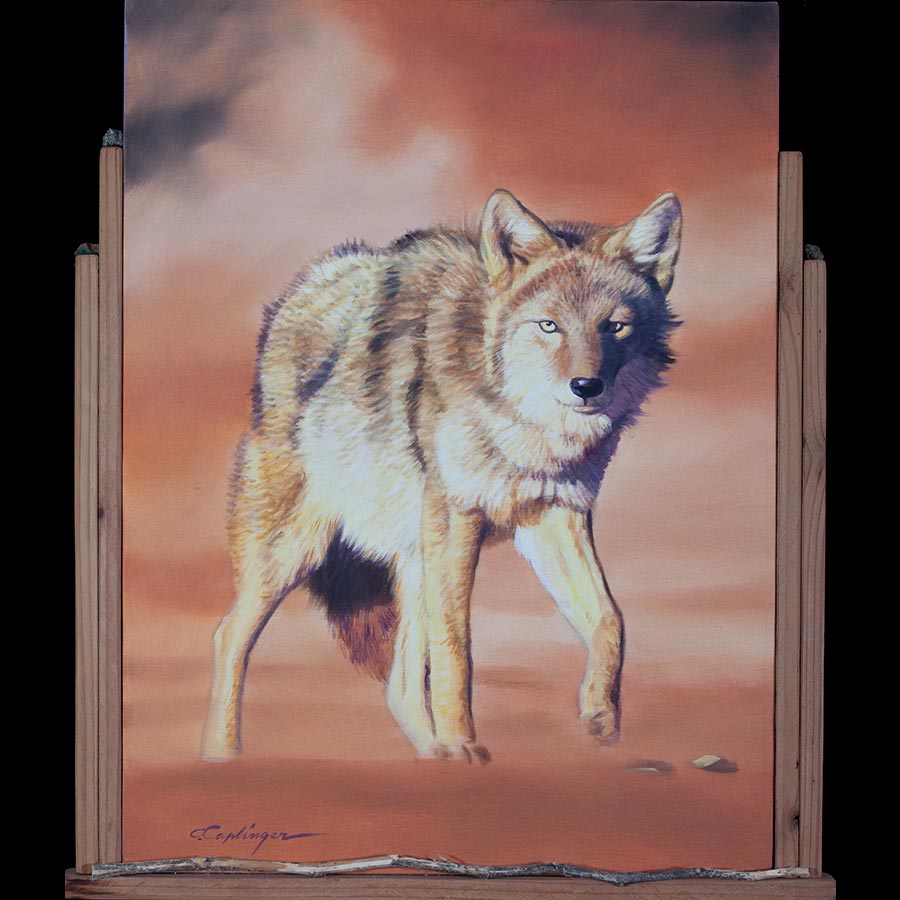 Desert Wildlife Paintings by Chuck Caplinger