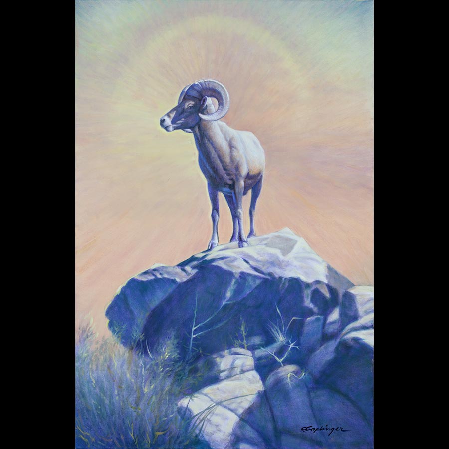 Desert Wildlife Paintings by Chuck Caplinger