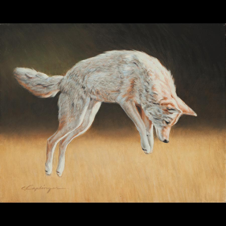 Desert Wildlife Paintings by Chuck Caplinger