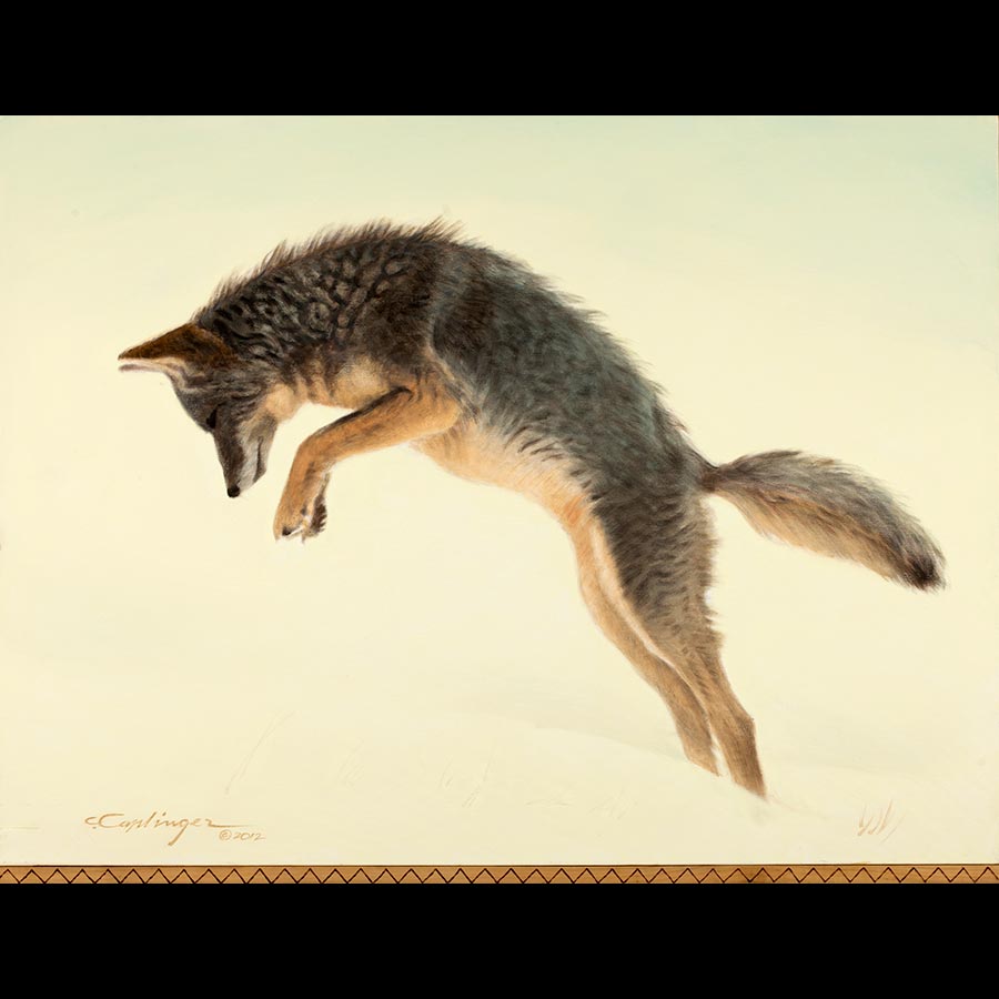 Desert Wildlife Paintings by Chuck Caplinger