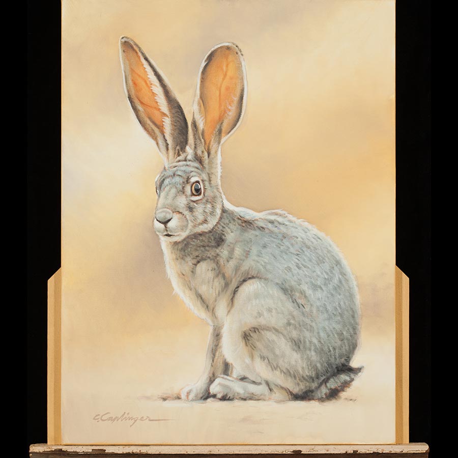 Desert Wildlife Paintings by Chuck Caplinger