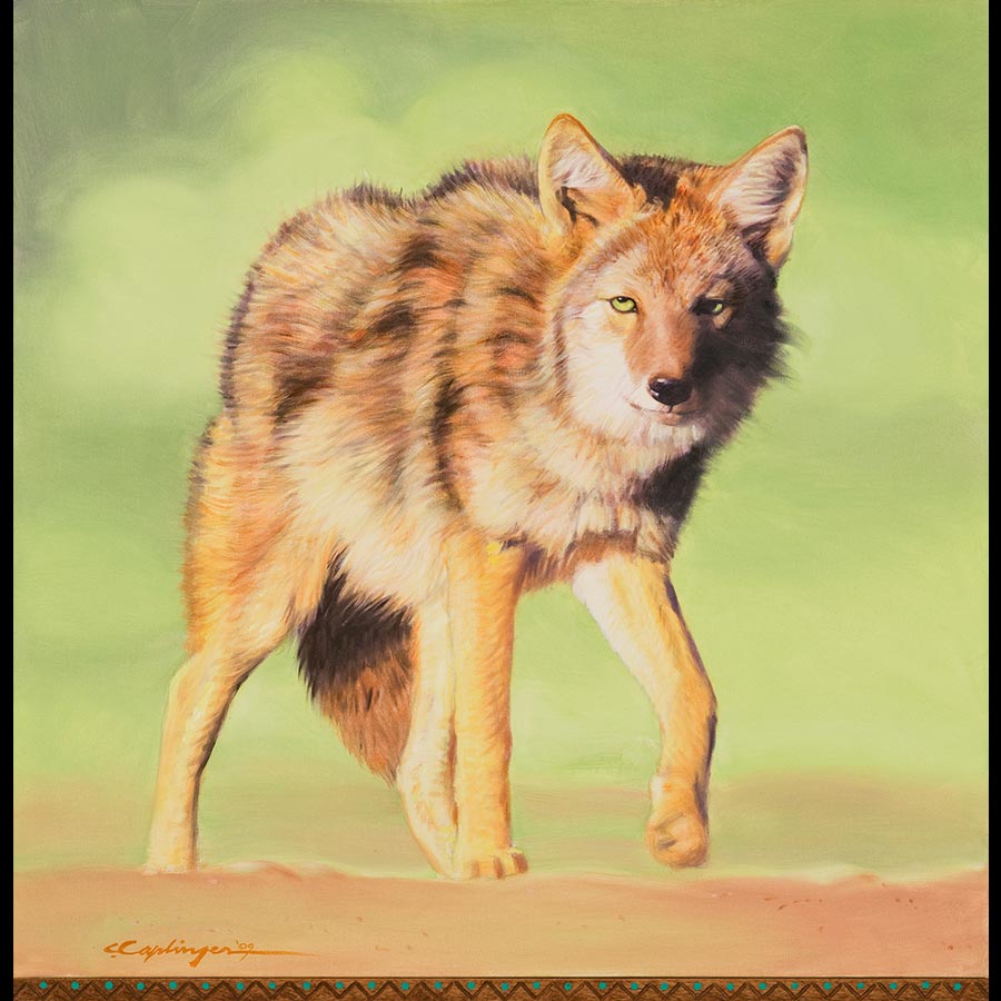 Desert Wildlife Paintings by Chuck Caplinger