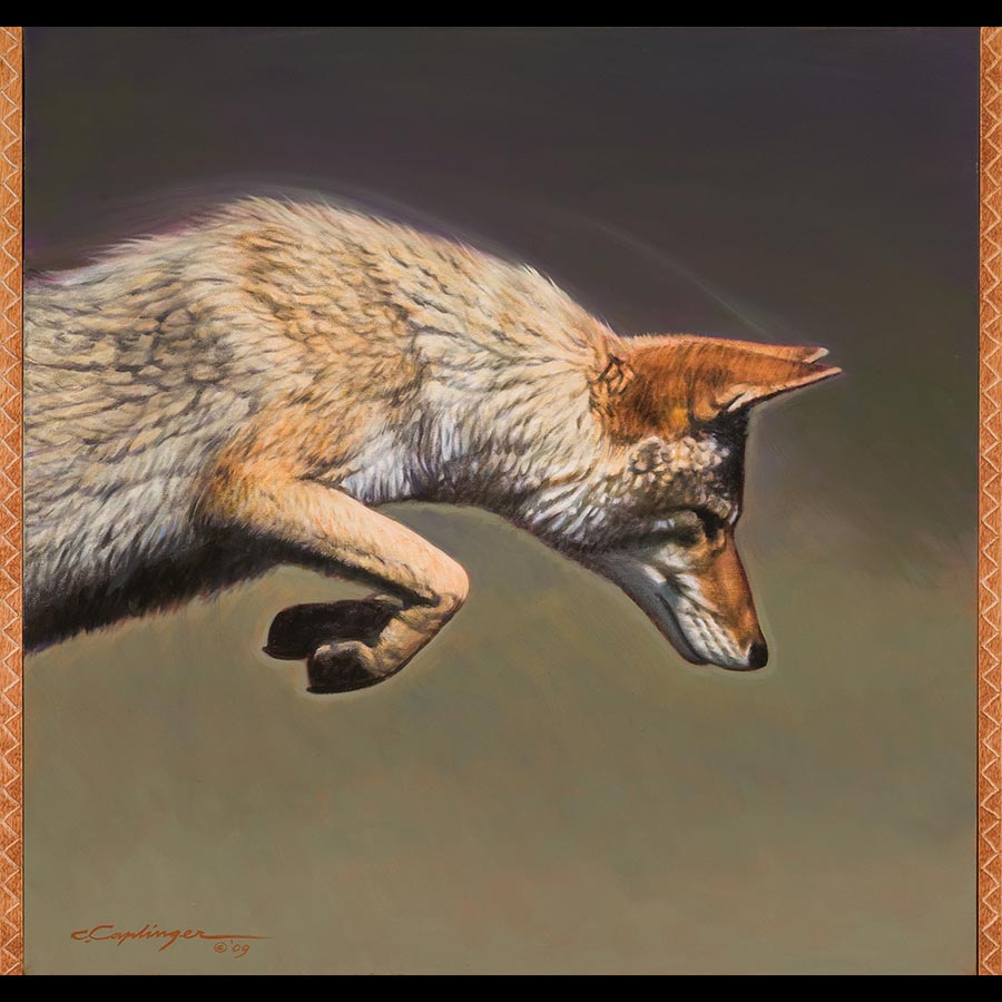 Desert Wildlife Paintings by Chuck Caplinger