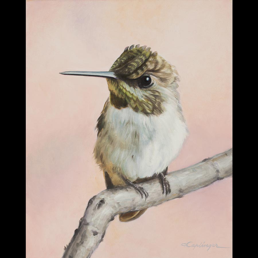 Desert Birds Paintings by Chuck Caplinger