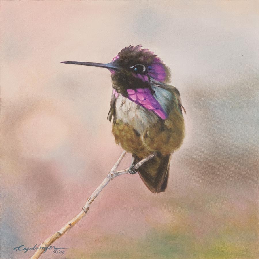 Desert Birds Paintings by Chuck Caplinger