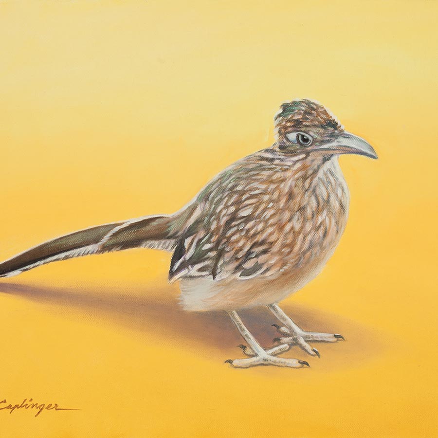 Desert Birds Paintings by Chuck Caplinger
