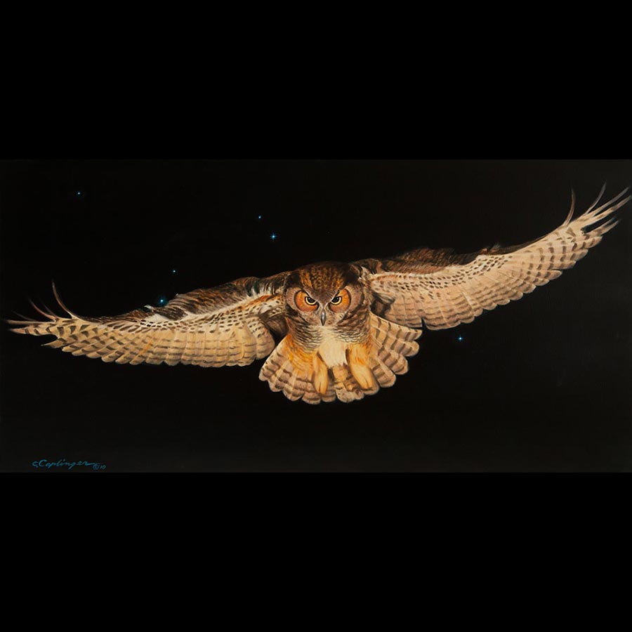 Desert Birds Paintings by Chuck Caplinger