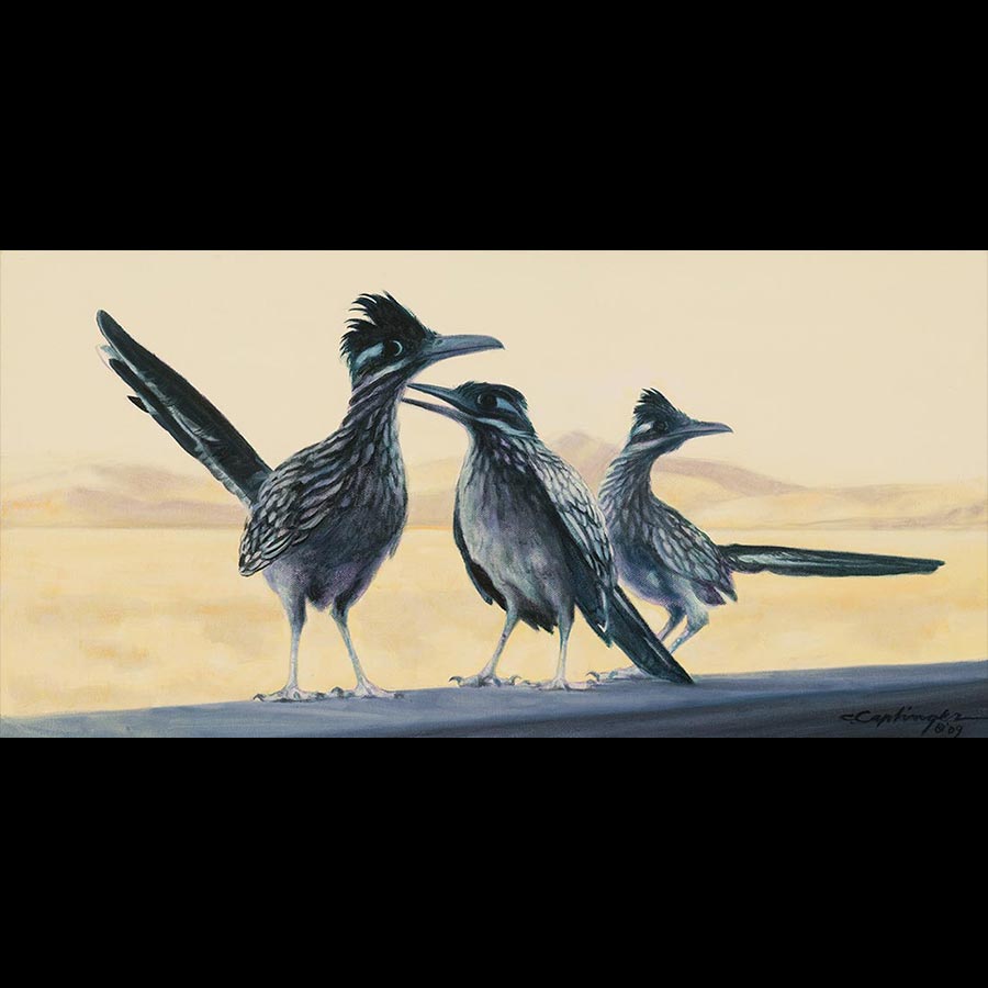 Desert Birds Paintings by Chuck Caplinger
