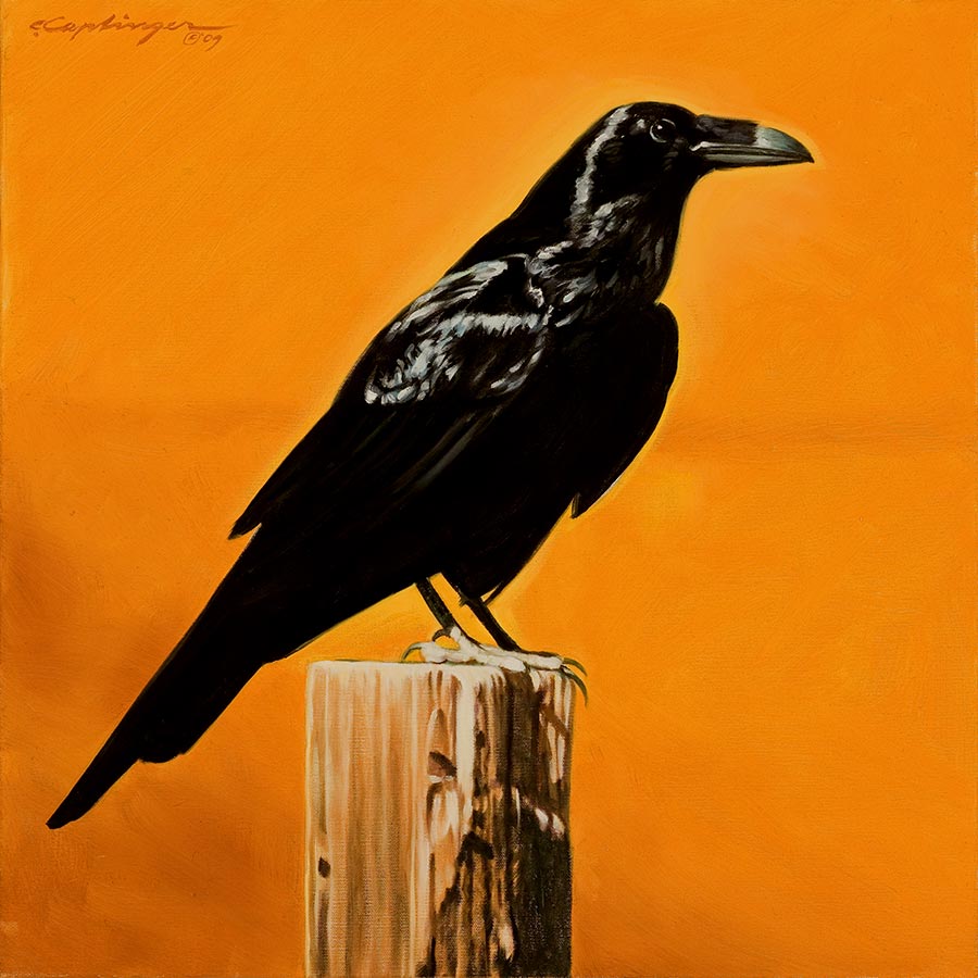 Desert Birds Paintings by Chuck Caplinger