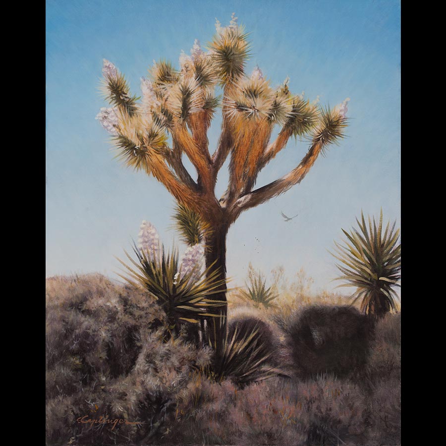 Desert Landscape Paintings by Caplinger