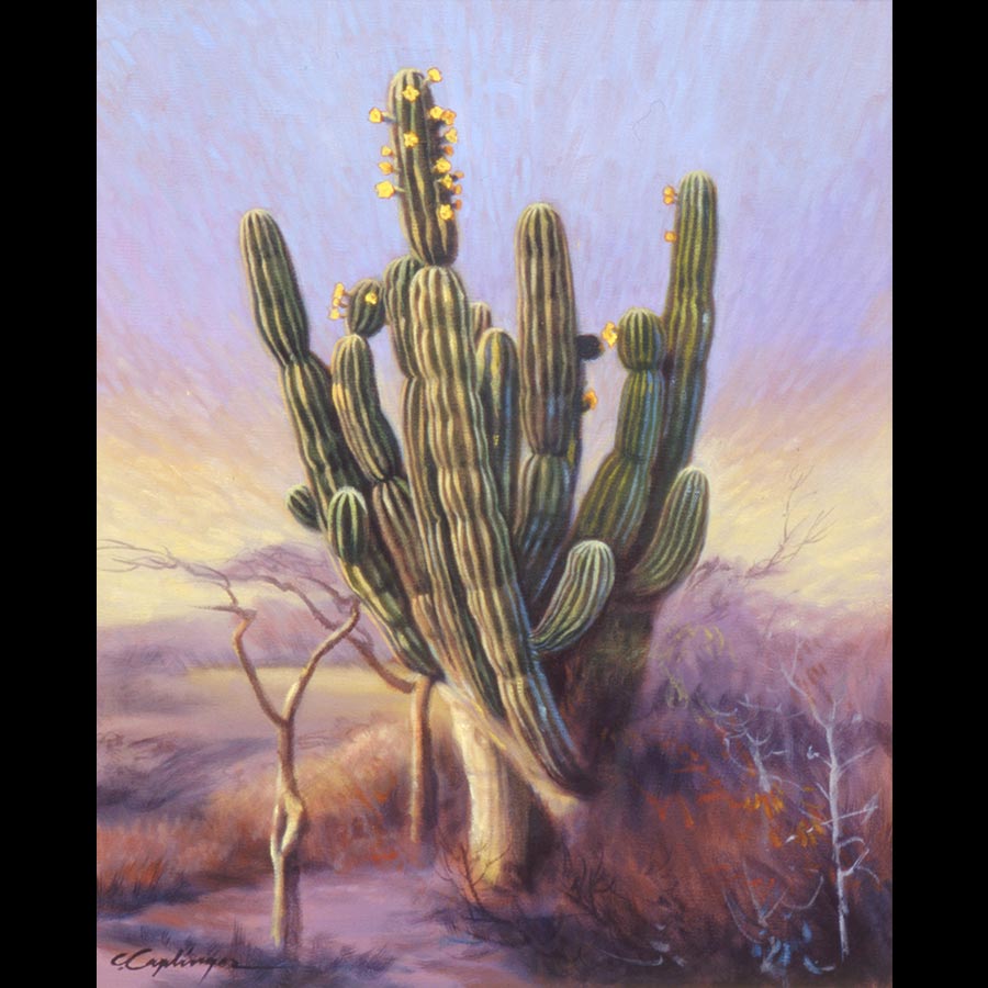 Desert Landscape Paintings by Caplinger