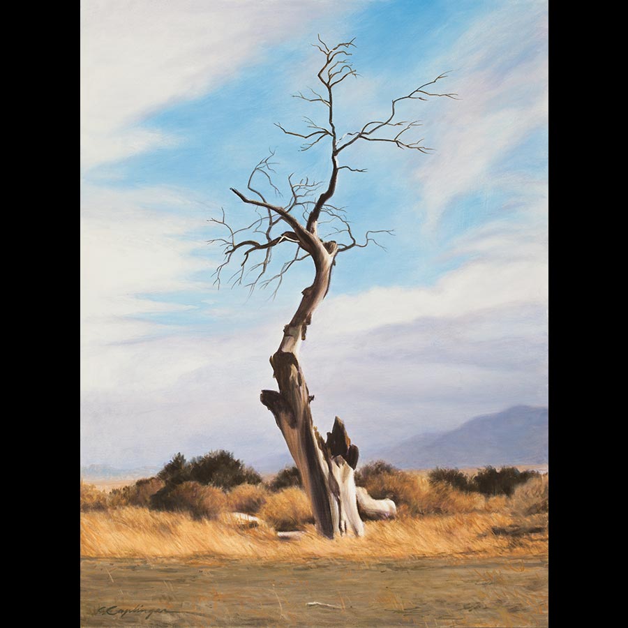 Desert Landscape Paintings by Caplinger