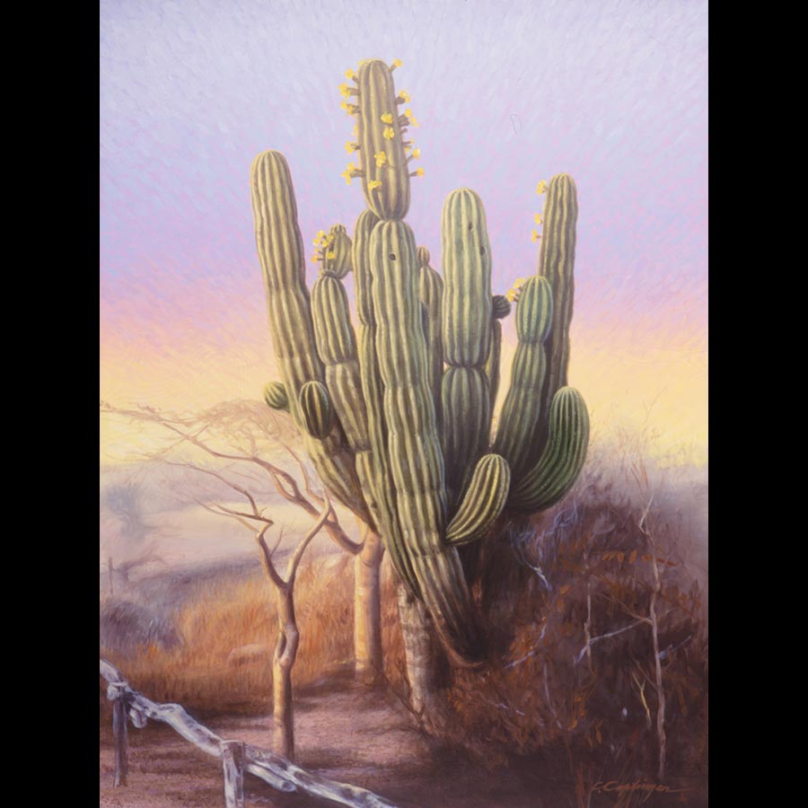 Desert Landscape Paintings by Caplinger