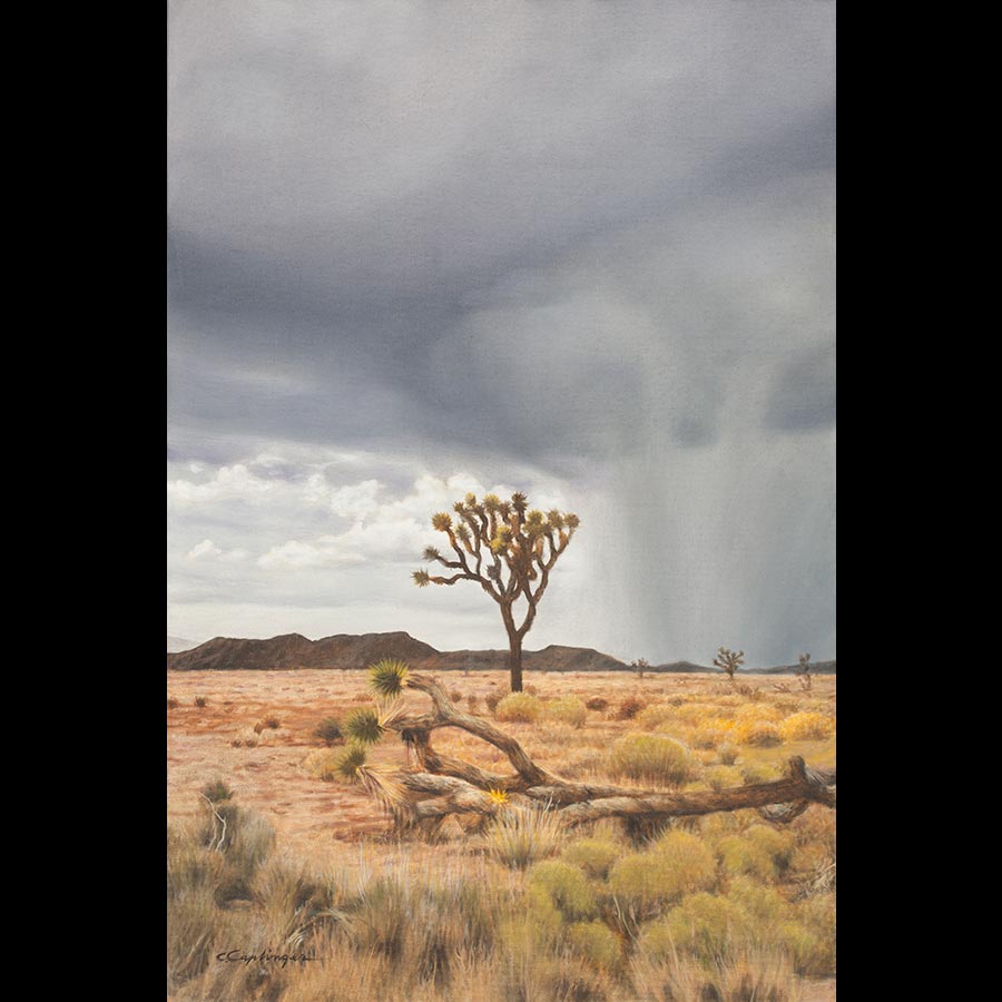 Desert Storm Paintings by Chuck Caplinger