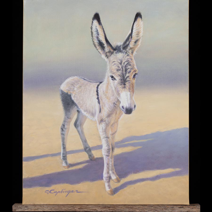 Horse and Burro Paintings by Chuck Caplinger
