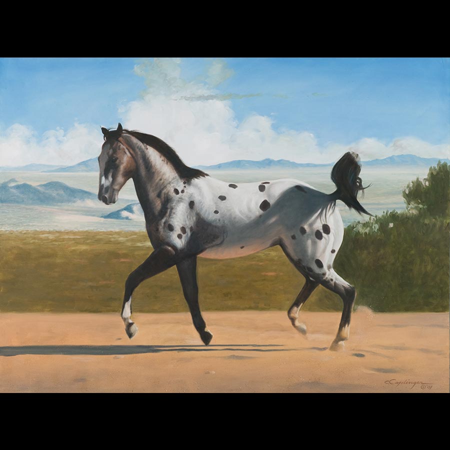 Horse and Burro Paintings by Chuck Caplinger