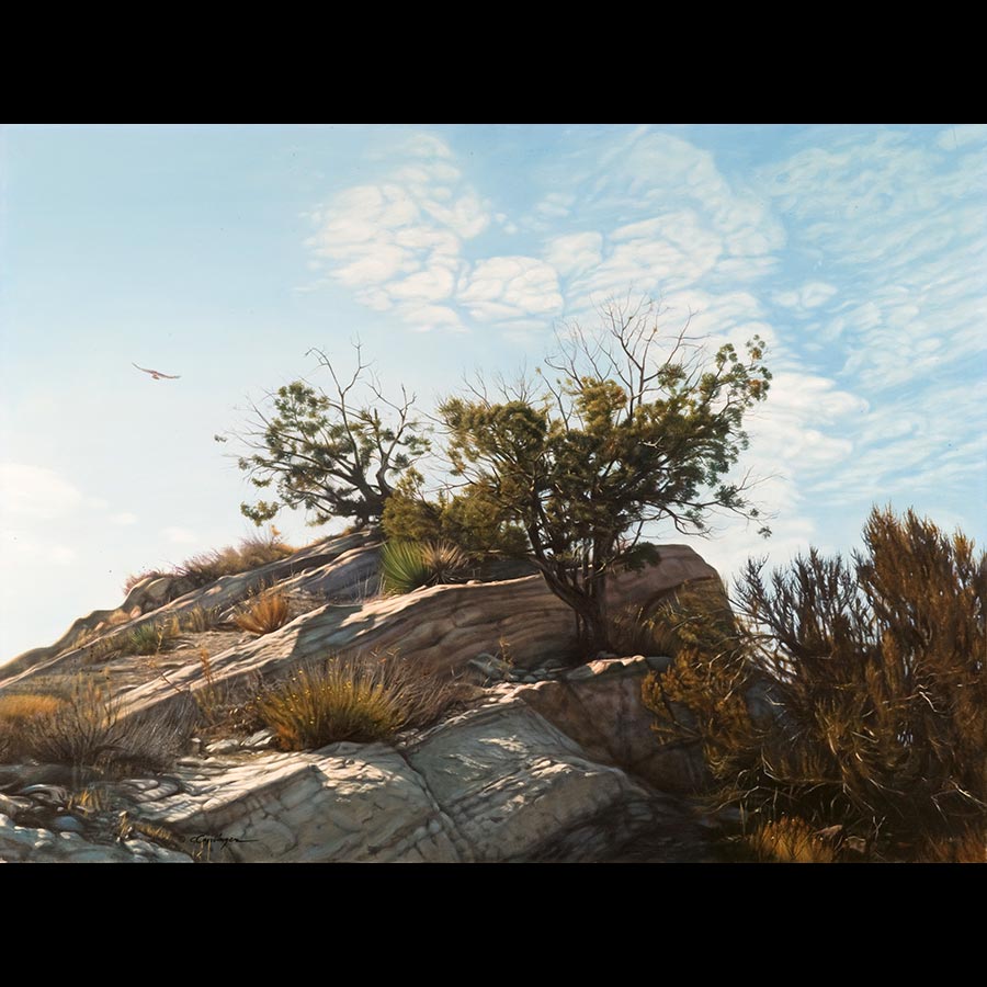 Southwest Landscape Paintings by Caplinger